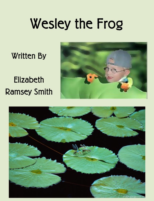 Wesley the Frog