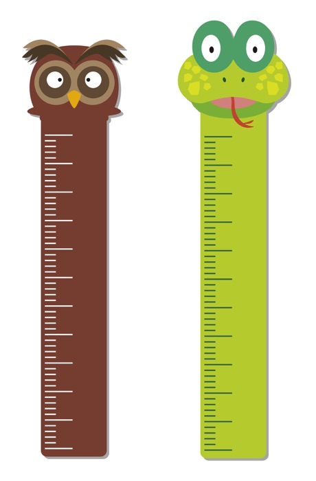 Length for First Graders
