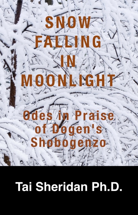 Snow Falling in Moonlight: Odes in Praise of Dogen's Shobogenzo