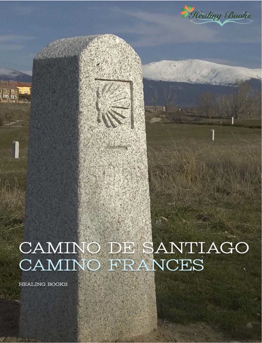 CAMINO DE SANTIAGO-camino frances