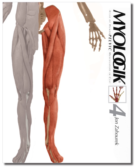 Myologik® Atlas of Human Axial Musculature in Clay