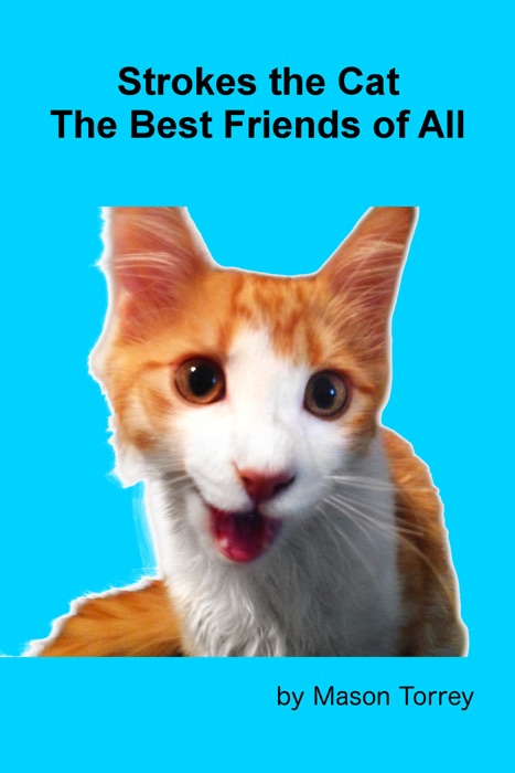 Strokes The Cat: the Best Friends of All