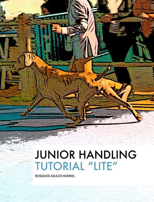 Junior Handling Tutorial 