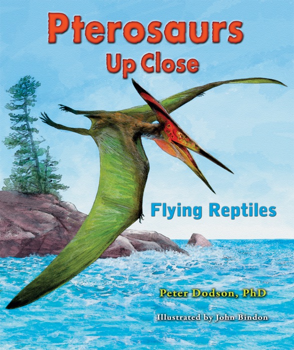 Pterosaurs Up Close