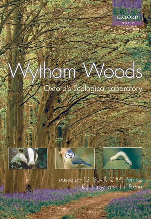 Wytham Woods