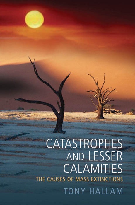 Catastrophes and Lesser Calamities