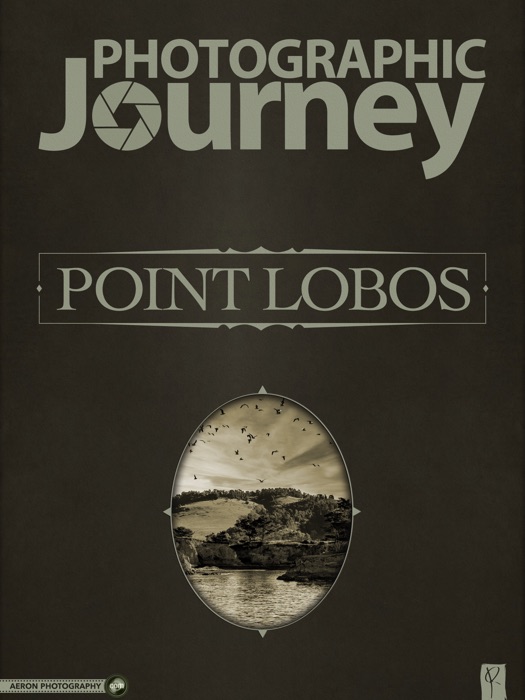 Photographic Journey: Point Lobos