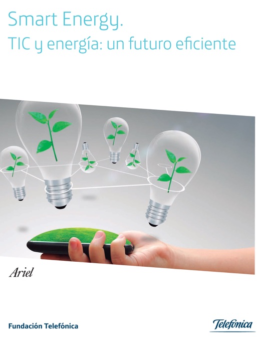 Smart Energy. TIC y energía: un futuro eficiente