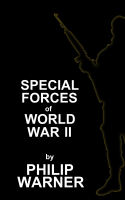 Phillip Warner - Special Forces - WWII artwork