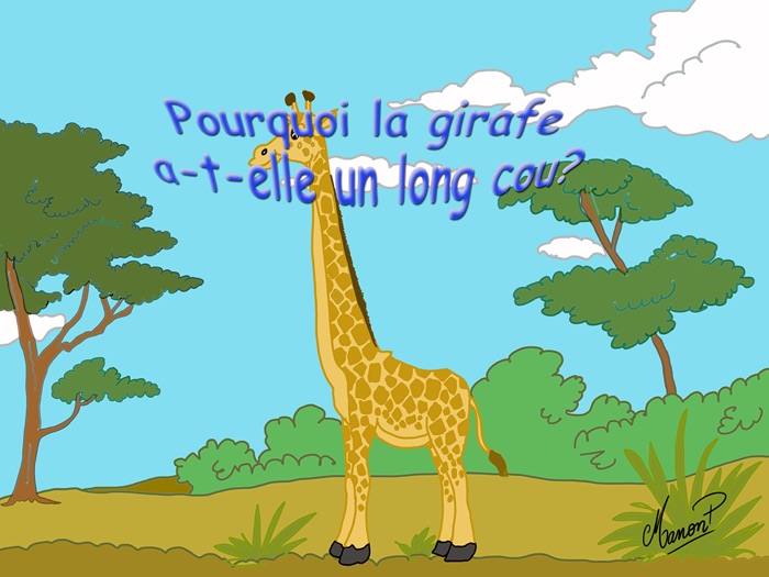 Pourquoi la girafe a-t-elle un long cou?