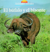 El búfalo y el bisonte - Equipo Parramón