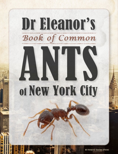 Dr Eleanor S Book Of Common Ants Of New York City By