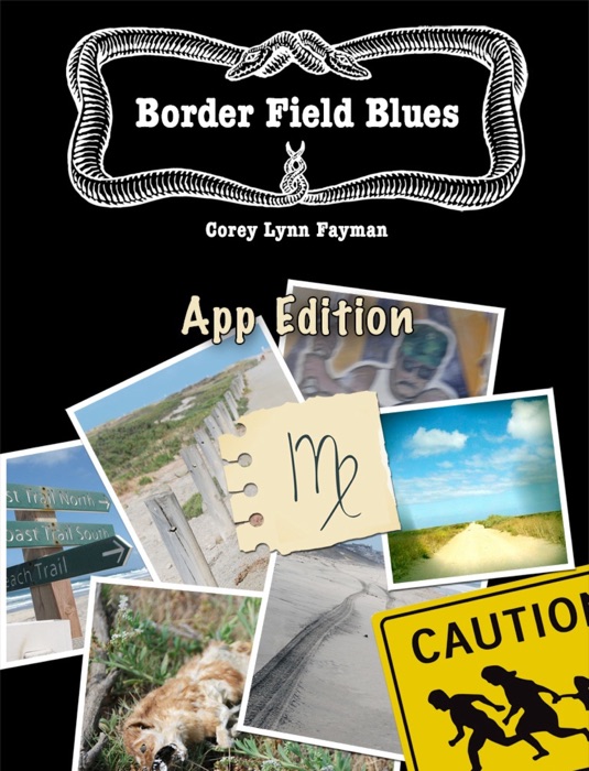 Border Field Blues - App Edition