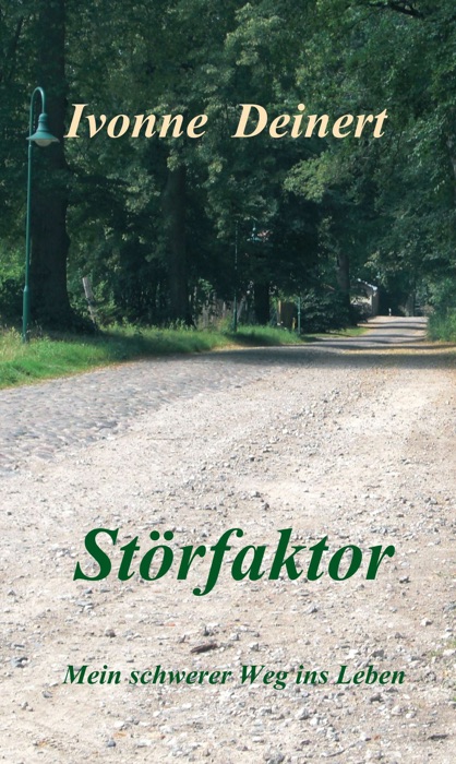 Störfaktor