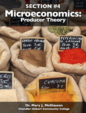 Read & Download Microeconomics: Producer Theory Book by Dr. Mary J. McGlasson Online