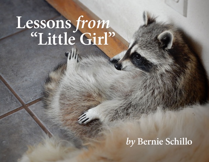Lessons from “Little Girl”