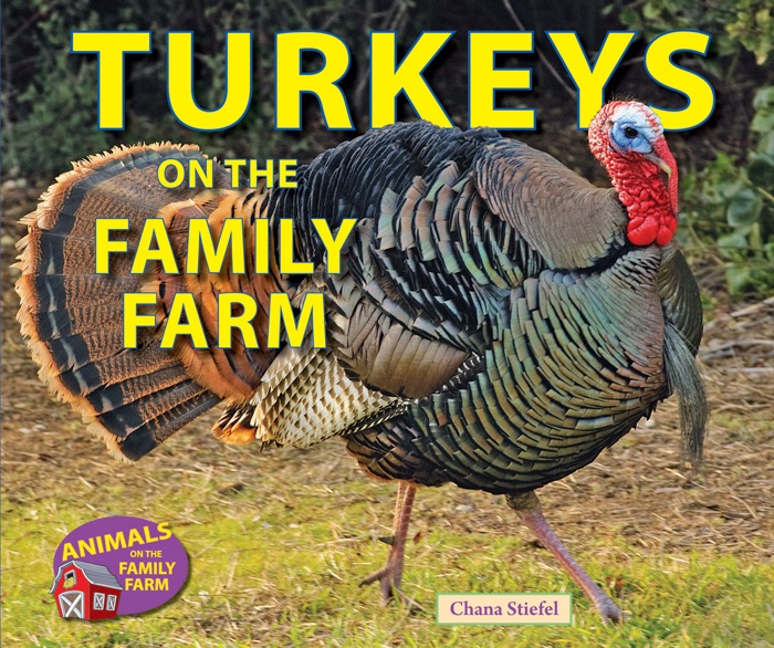 Turkeys On the Family Farm