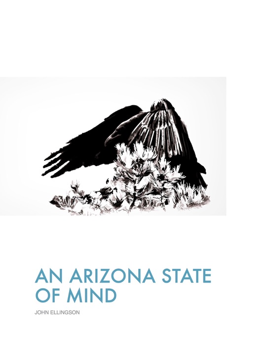 An Arizona State of Mind