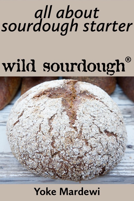 All About Sourdough Starter