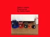 Download Gabby's Science Journal