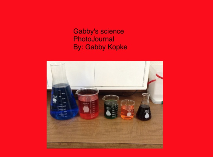 Gabby's Science Journal