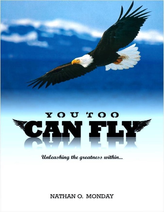 You Too Can Fly