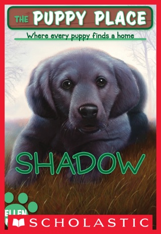 Jake The Puppy Place 47 On Apple Books - 