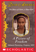 A Picture of Freedom (Dear America) - Kathryn Lasky & Patricia C. McKissack