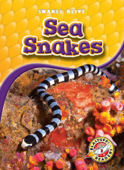 Sea Snakes - Colleen Sexton