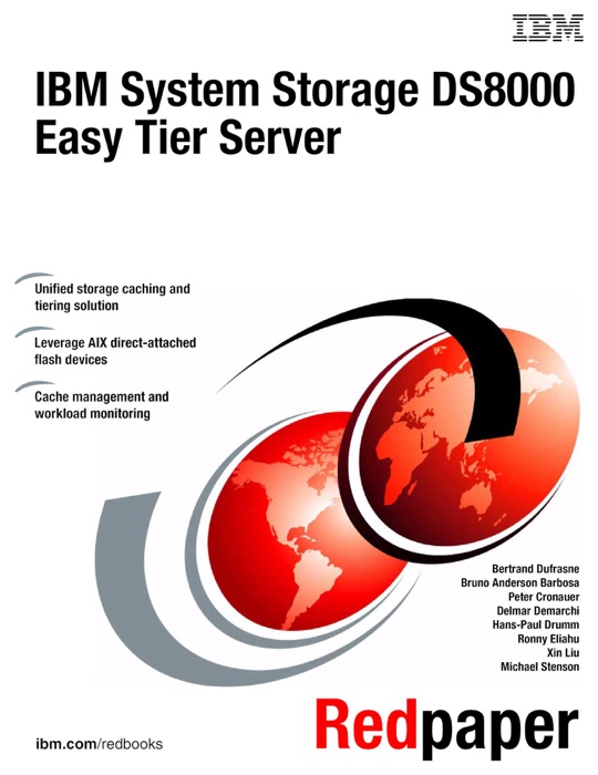 IBM System Storage DS8000 Easy Tier Server