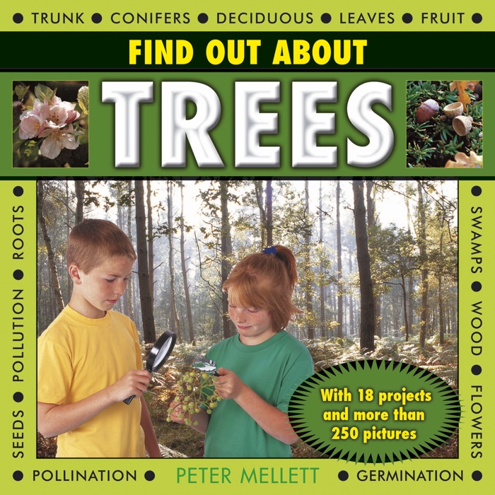 Find Out About Trees