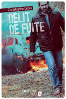 Christophe Léon - Délit de fuite artwork