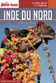 Inde du nord 2016 Carnet Petit Futé - Dominique Auzias & Jean-Paul Labourdette