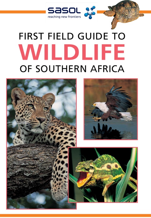 Sasol First Field Guide to Wildlife of Southern Africa