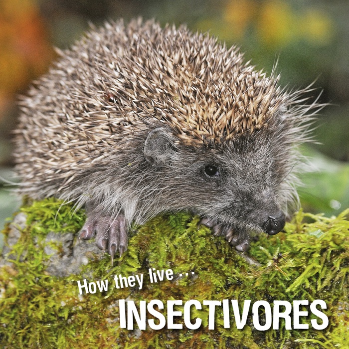 How they live... Insectivores