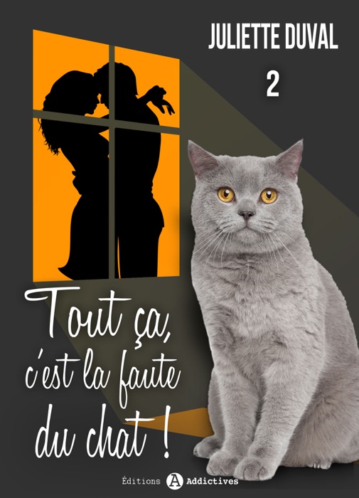 Tout ça, c’est la faute du chat ! - 2