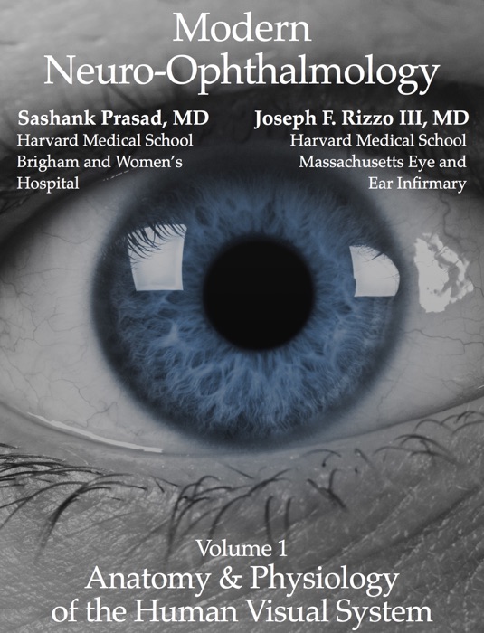 Modern Neuro-Ophthalmology: Anatomy & Physiology of the Human Visual System