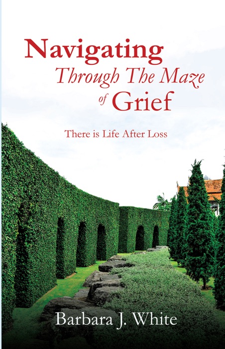 Navigating Through The Maze of Grief