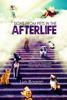 Lyn Ragan - Signs from Pets in the Afterlife artwork