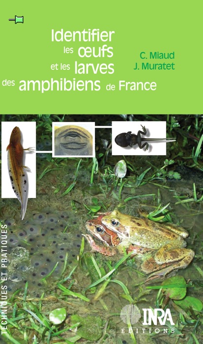 Identifier les oeufs et les larves des amphibiens de France