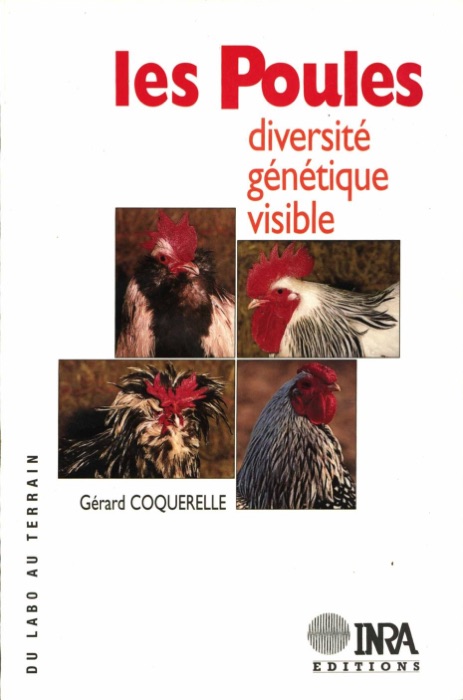 Les poules