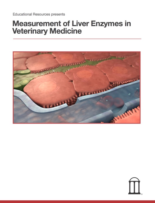 Measurement of Liver Enzymes in Veterinary Medicine