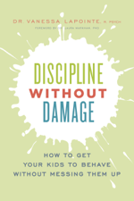 Discipline Without Damage - Vanessa Lapointe Cover Art