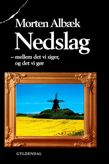 Nedslag