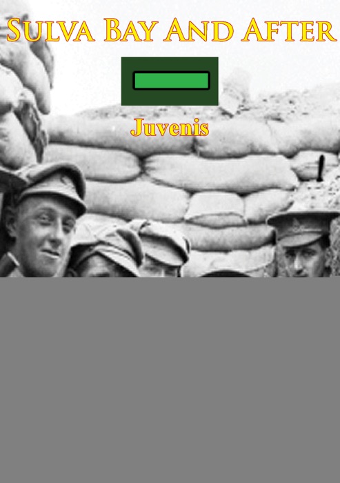Suvla Bay and After [Illustrated Edition]