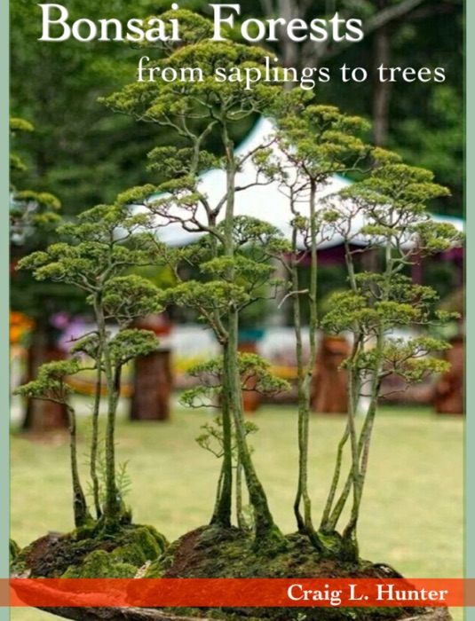 Bonsai  Forests