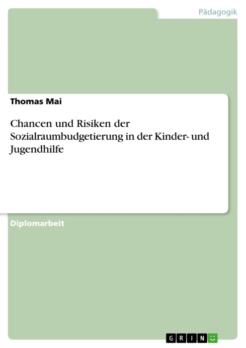 Chancen und Risiken der Sozialraumbudgetierung in der Kinder- und Jugendhilfe