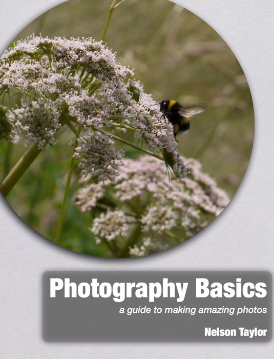 Photography Basics: a guide to making amazing photos