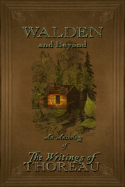 Walden and Beyond