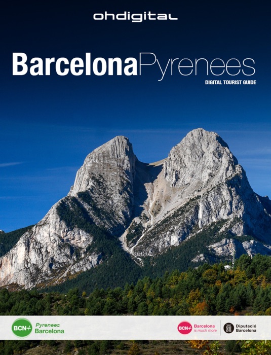 Barcelona Pyrenees